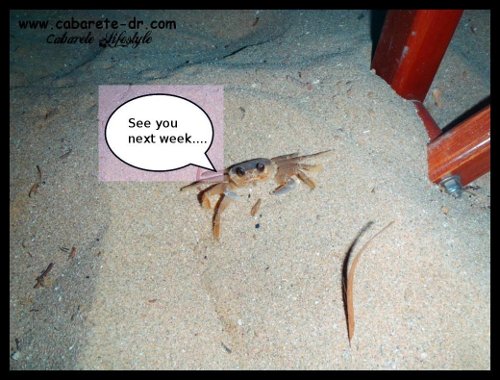 crabe cabarete lifestyle 1.JPG