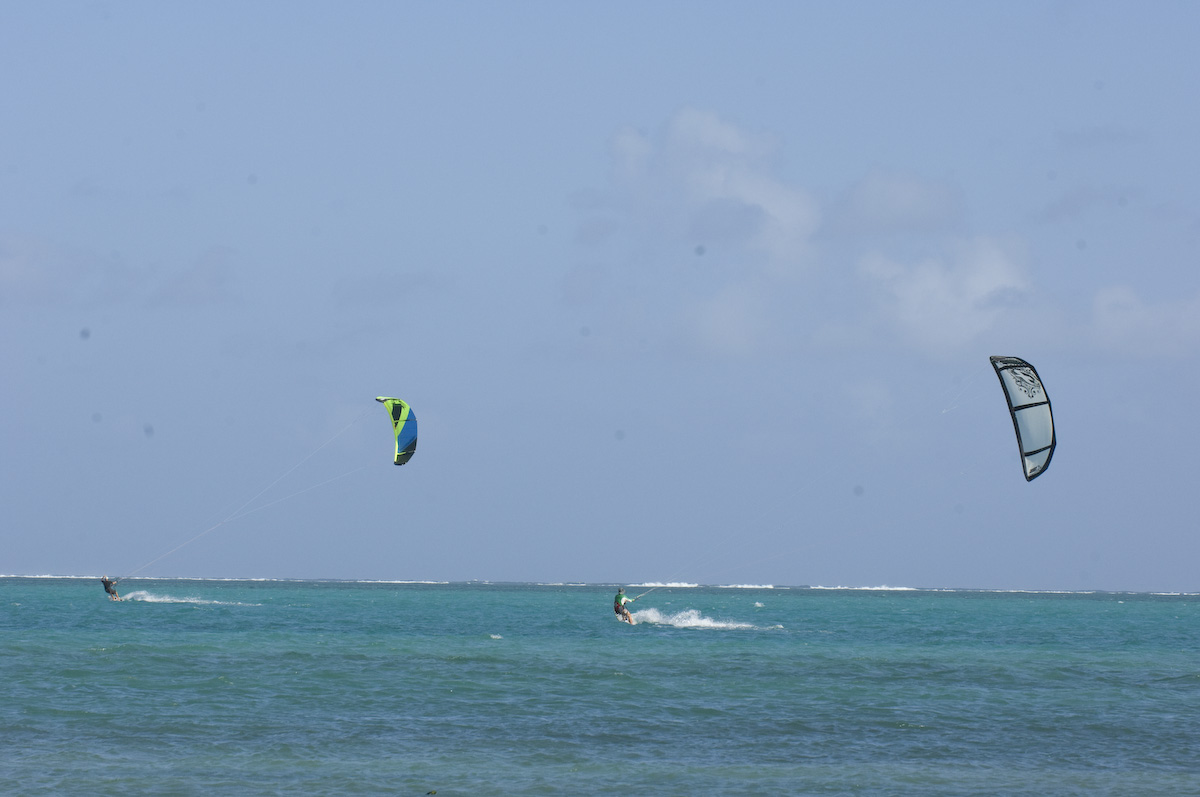 20100504-315.jpg