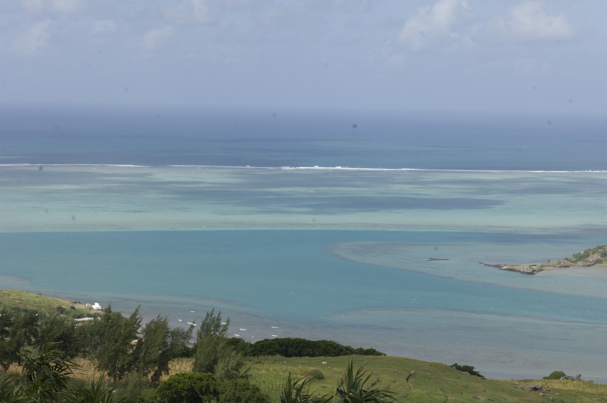 20100505-322.jpg