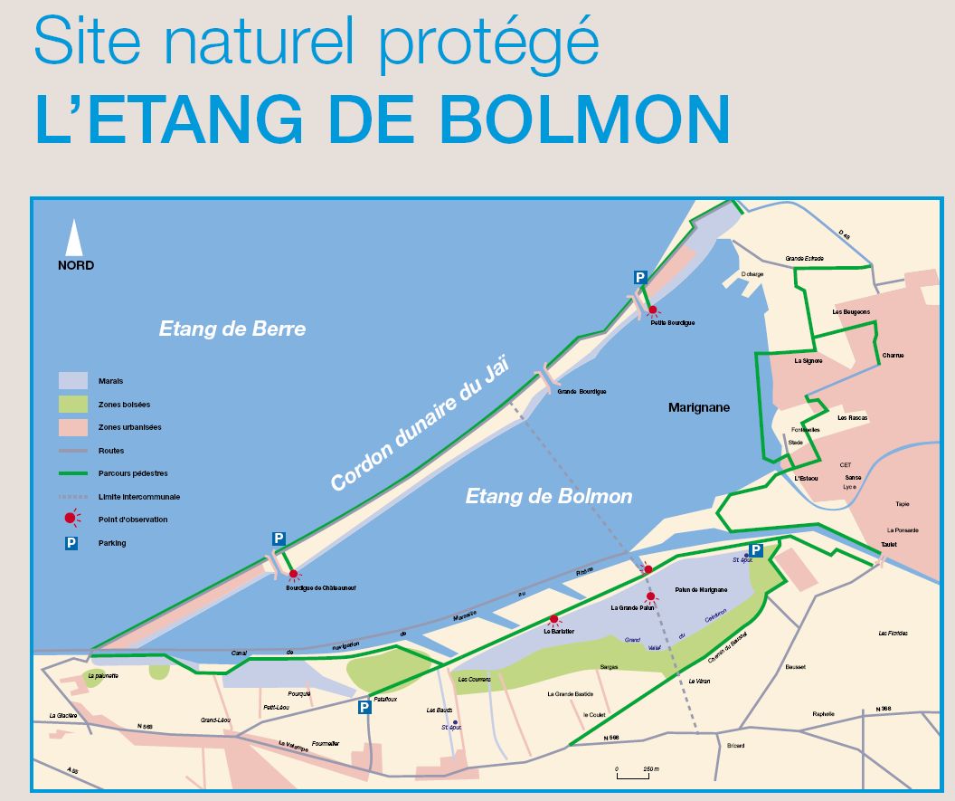 20080310_carte.jpeg