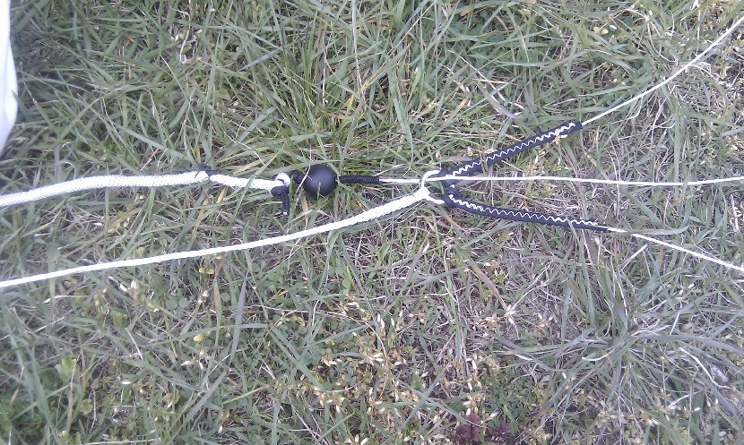 IMAGE 1.jpeg