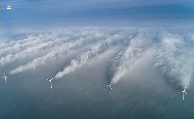 ferme-eolienne-marine-danoise.jpg
