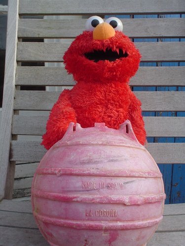 Elmo's winner.jpeg