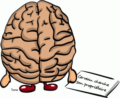 cerveau.gif