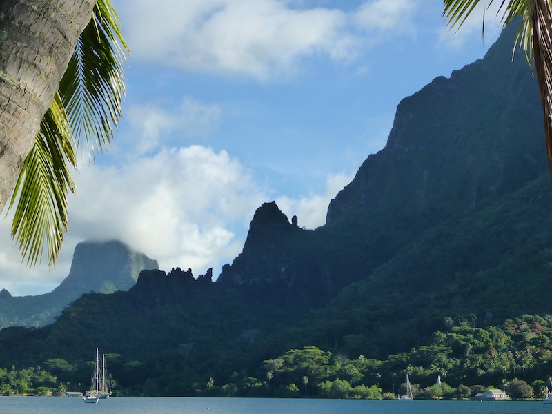 8 - Paysage Moorea.jpg