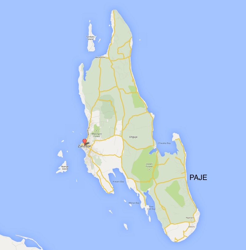 4 - Zanzibar.jpg