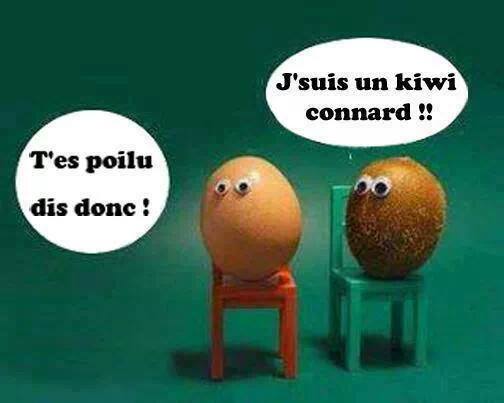 kiwi.jpg