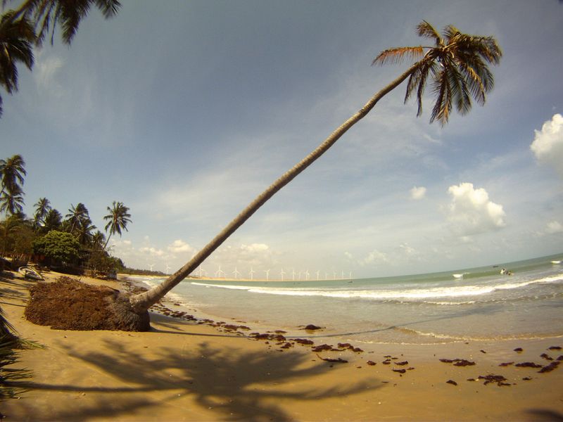 la plage.jpg