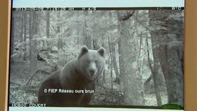 nounours_6.jpg