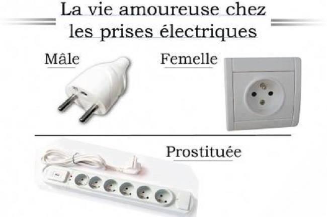 vie amoureuse des prises.jpg