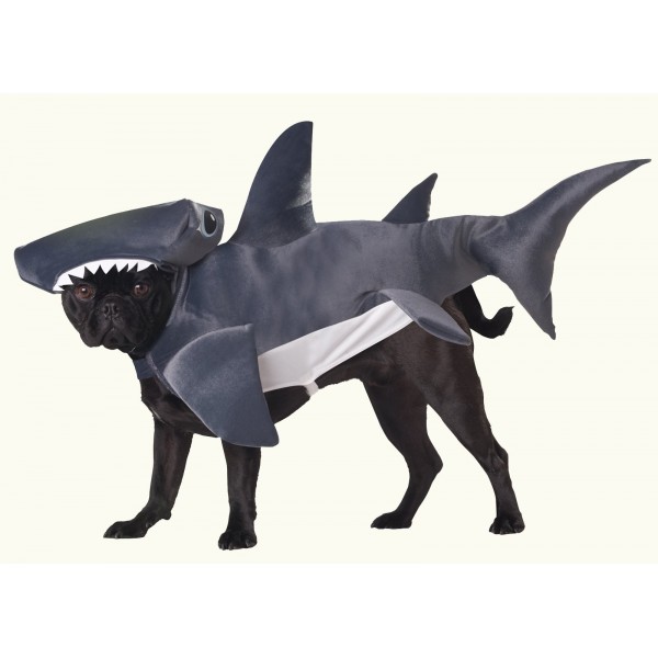 costume-de-requin-pour-chien.jpg
