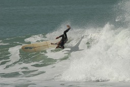 DSC_0165.jpg