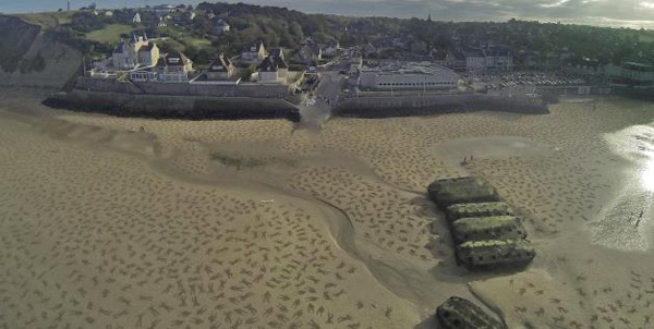 Jamie-Wardley-Andy-Moss-D-Day-0000.jpg