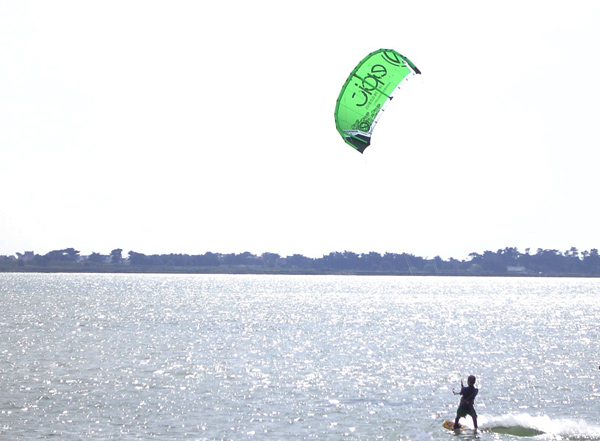 DSC0056022 copy.jpg