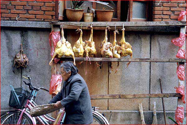 poulet_pendu_gd.jpg