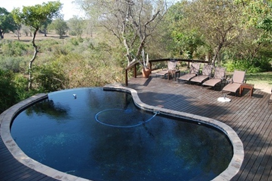 elephant-plains_08.jpg