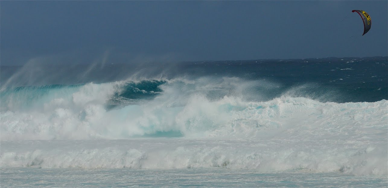 DSC_3019.jpg
