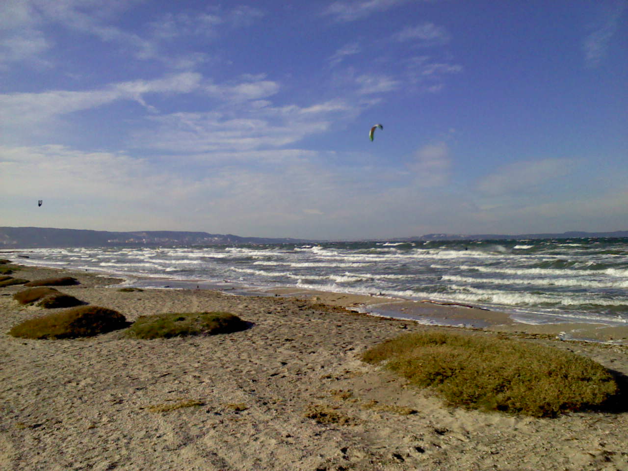 DSC0000014.jpg